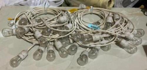 (2) SETS OF STRING LIGHTS