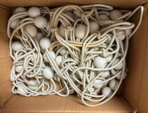 BOX OF BUNGEE TIES