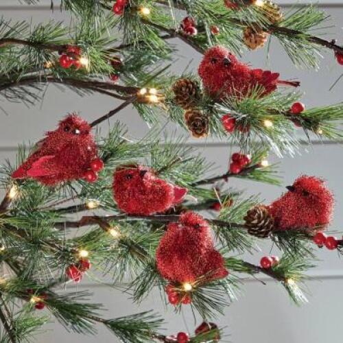 Set of Red Bird Clips