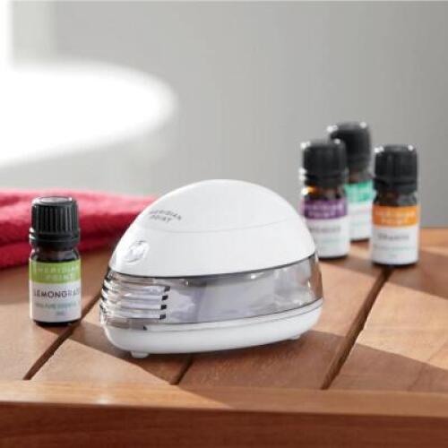 Aromatherapy Kit and 4 bottles of oils.
