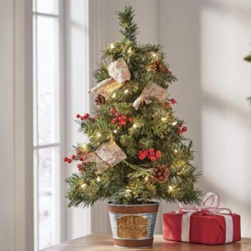 Christmas Lighted Tree Farm