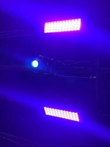 DESCRIPTION (6) ASSORTED 24" BLACK LIGHT FIXTURES THIS LOT IS: SOLD BY THE PIECE LOCATION BACK BAR QTY 6
