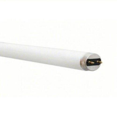 DESCRIPTION: (2) CASES OF (30) FLUORESCENT BULB BRAND/MODEL: GE LAMPS #2ETU4 SIZE: 4 FT RETAIL$: $204.00 EA QTY: 2