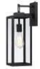 18-IN H MATTE BLACK HARDWIRED DUSK TO DAWN OUTDOOR WALL LIGHT