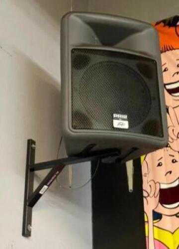 PEAVY PR 12 400 WATT WALL SPEAKER