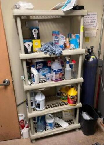 ASSORTED CLEANING SUPPLIES ON SHELF (SHELF NOT INCLUDED)