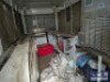 CONCESSION TRUCK - 11