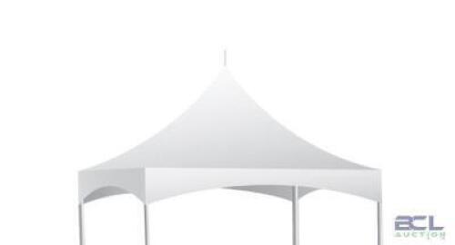 10 X 10 HI PEAK POLE TENT TOP