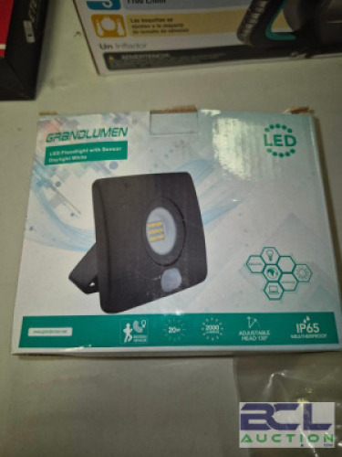 1 - LED Floodlight with Sensor #347