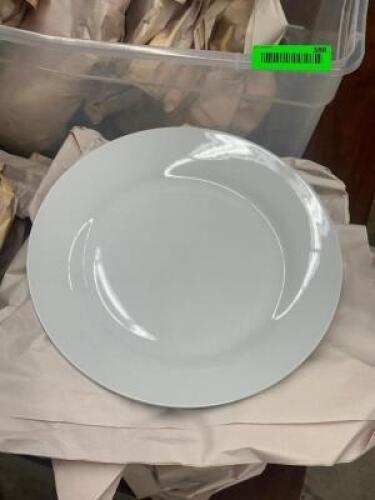 (15) - DINNER PLATES