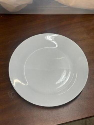 (18) - APPETIZER PLATES