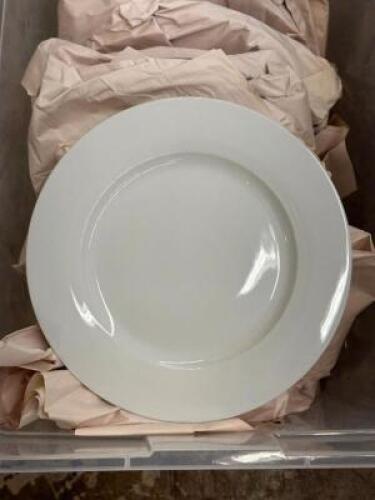 (18) - DINNER PLATES