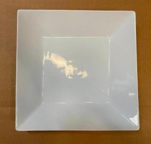 (20) 10' X 10' CHINA PLATES