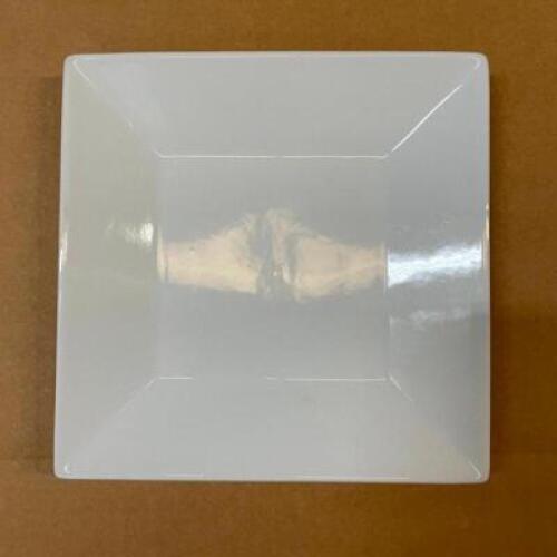 (24) 8' X 8' CHINA PLATES