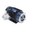 DESCRIPTION: (1) ELECTRIC MOTOR BRAND/MODEL: MARATHON MOTORS #XVH145TTN16628AA 6M INFORMATION: 3 PHASE, 145T FRAME RETAIL$: $7997.60 EA QTY: 1