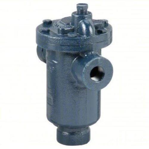 DESCRIPTION: (2) STEAM TRAP BRAND/MODEL: PRODUCT NUMBER #36Y194 INFORMATION: CAST IRON, 1/2 IN FNPT, 750 LB/HR, 250 PSI MAX., 450&deg;F MAX., STRAINER NOT