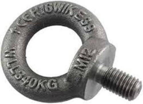 DESCRIPTION: (1) CASE OF APPROX (60) FIXED LIFTING EYE BOLTS INFORMATION: M12, 34T RETAIL$: $17.00 PER BOLT QTY: 1