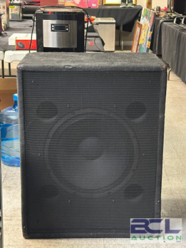 PROFESSIONAL LOUD SPEAKER