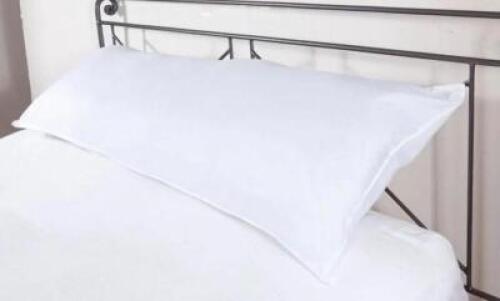 DESCRIPTION: (1) BODY PILLOW BRAND/MODEL: MAINSTAYS SIZE: 20" X 54" QTY: 1