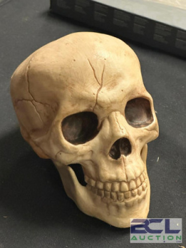 SKULL DECOR