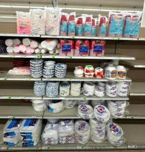 LARGE ASSORTMENT OF PAPER PLATES, CUPS, AND BOWLS