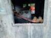 THOMSEN AT-5 GAS PLASTER PUMP - 11