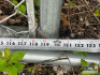 DESCRIPTION: 5PCS OF ASSORTED FENCING GATE SIZE: SEE PHOTOS FOR SIZES OF EACH LOCATION: LOT QTY: 5 - 18