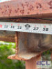 DESCRIPTION: (3) PLATFORMS AND STEEL SAWHORSES SIZE: SEE PHOTOS FOR SIZES LOCATION: LOT QTY: 1 - 5