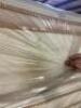 BIGGER BODIES LATEX HYBRID KING MATTRESS - 4