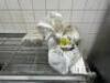 PURI PTL-104 CLAY OVEN. - 5