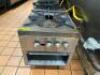 DOUBLE BURNER HEAVY DUTY STOCK POT RANGE - 3