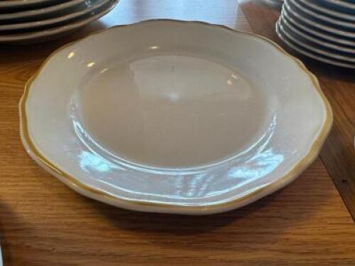 (24) 10" HOMER LAUGHLIN CHINA PLATES