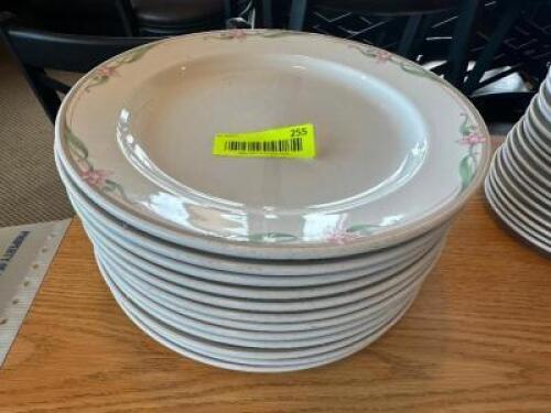 (12) 11" CHINA PLATES