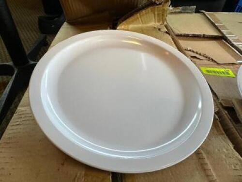 (24) 9 3/4" PLASTIC PLATES.