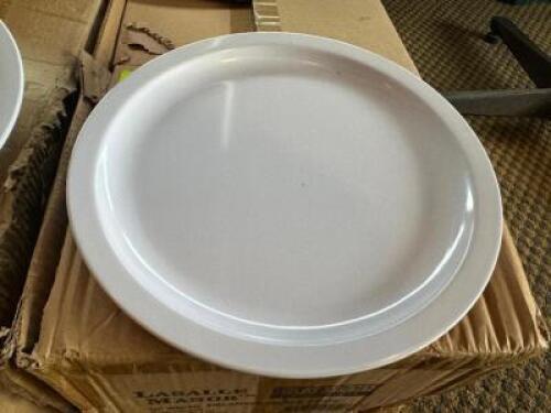 (24) 9 3/4" PLASTIC PLATES.