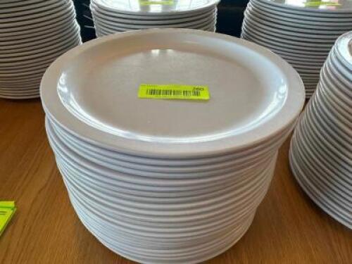 (20) 9 3/4" PLASTIC PLATES.