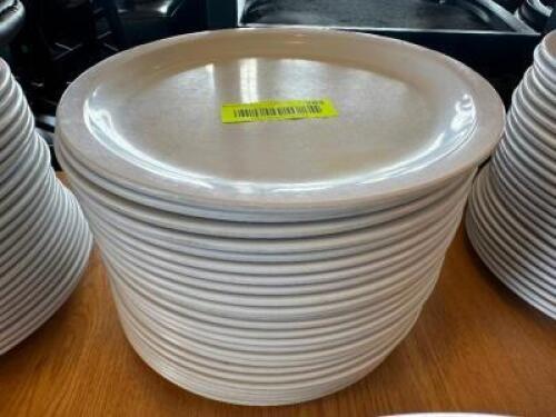 (20) 9 3/4" PLASTIC PLATES.