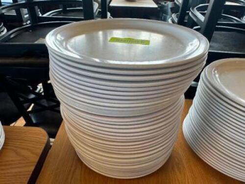 (24) 9 3/4" PLASTIC PLATES.
