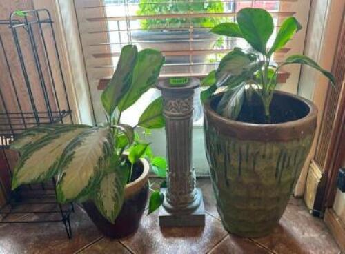 (2) PLANTS WITH PLANTER PEDESTAL