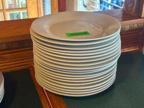 (20) - ASSORTED DINNER PLATES