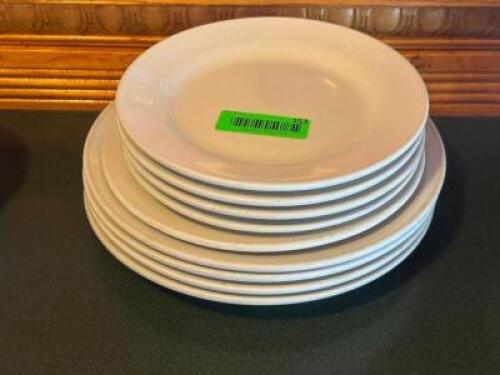 (10) - DINNER PLATES