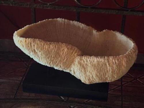 DECORATIVE BOWL