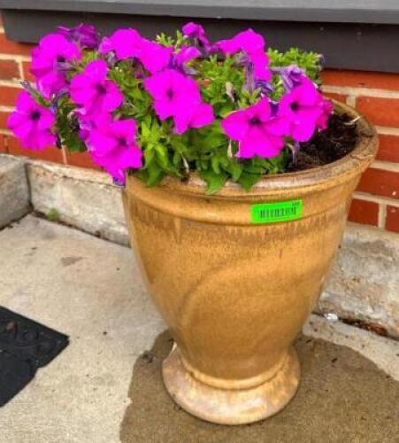 FLOWERS WITH DECORATIVE PLANTER
