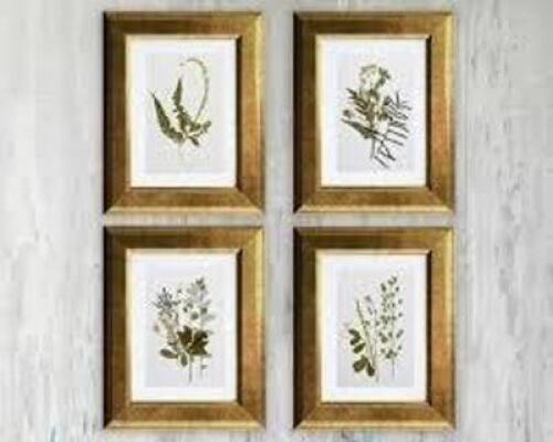 DESCRIPTION: (6) BOXES OF (4) PAINTINGS OF PLANTS INFORMATION: IMAGES ARE FOR ILLUSTRATION PURPOSES ONLY AND MAY NOT BE AN EXACT REPRESENTATION OF THE