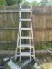 MULTI POSITION PRO LADDER - 3