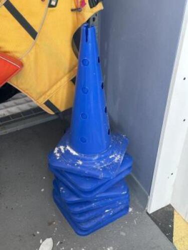 (8) - BLUE CONES