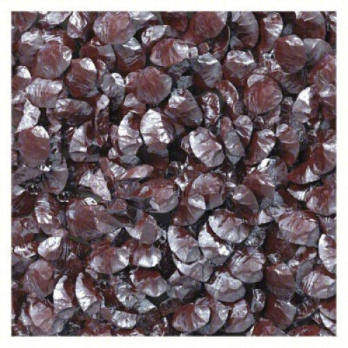 DESCRIPTION: (2) CASES OF BROWN ALUMINUM OXIDE BLAST MEDIA BRAND/MODEL: AV A0B36-50 INFORMATION: 20-25 MESH SIZE: 50 LB, 36 GRIT RETAIL$: $254.56 QTY: