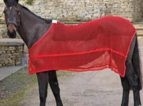 ANTI SWEAT MESH HORSE BLANKET