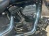 2001 Harley-Davidson Screaming Eagle II - 28