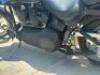 2001 Harley-Davidson Screaming Eagle II - 42
